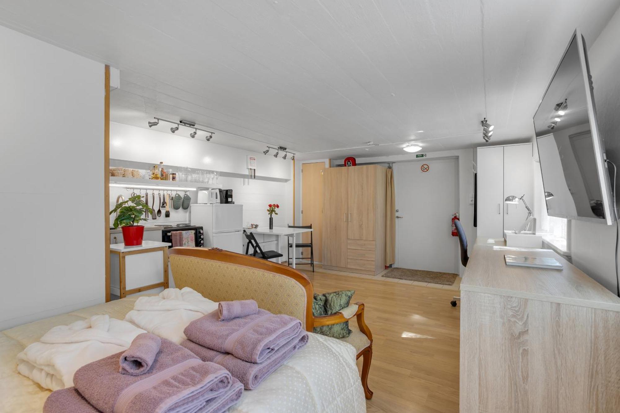 Lara Studio In Laugardalur Valley, Reykjavik Central Park And Botanical Garden, Private Entrance, Free Private Parking On Side Reiquiavique Exterior foto