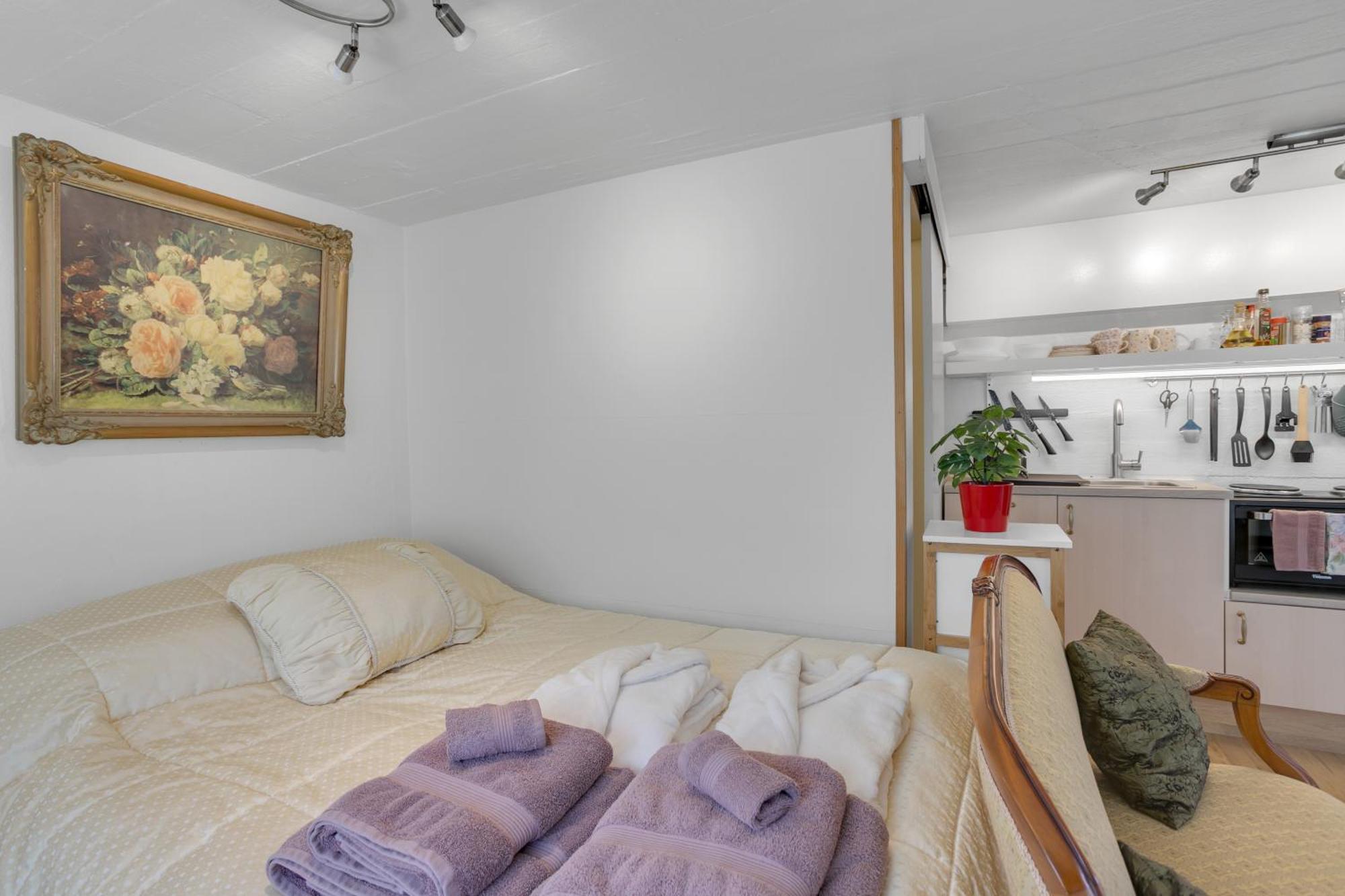 Lara Studio In Laugardalur Valley, Reykjavik Central Park And Botanical Garden, Private Entrance, Free Private Parking On Side Reiquiavique Exterior foto